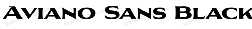 Aviano Sans Black Re字体转换